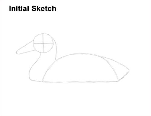 Draw a Mallard Duck Guidelines How to Draw a Male Mallard Duck Color Guide Lines