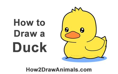 How to Draw Cute Cartoon Duck Duckling Chibi Kawaii