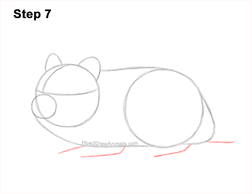 Draw a Striped Dwarf Hamster 7 How to Draw a Russian Winter White Dwarf Hamster 7