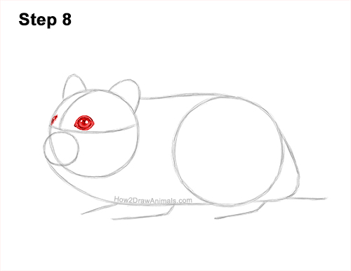 Draw a Striped Dwarf Hamster 8 How to Draw a Russian Winter White Dwarf Hamster 8