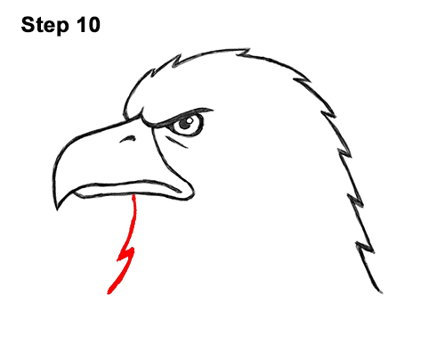 Draw a Cartoon Bald Eagle Head 10 How to Draw Cool Cartoon Bald Eagle Head 10