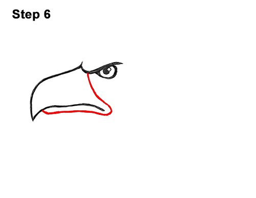 Draw a Cartoon Bald Eagle Head 6 How to Draw Cool Cartoon Bald Eagle Head 6