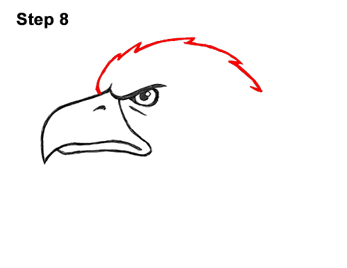 Draw a Cartoon Bald Eagle Head 8 How to Draw Cool Cartoon Bald Eagle Head 8