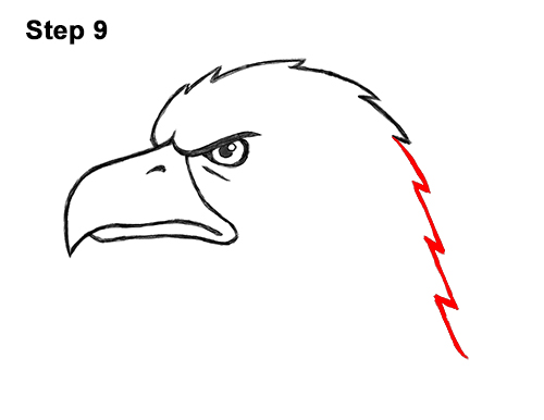 Draw a Cartoon Bald Eagle Head 9 How to Draw Cool Cartoon Bald Eagle Head 9