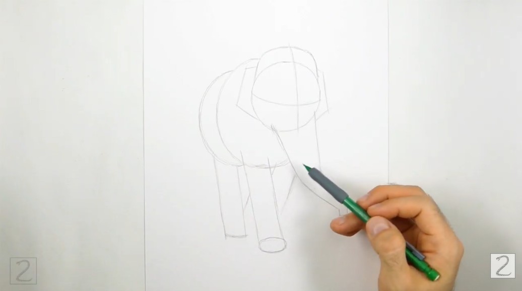 Guidelines Initial Pencil Sketch How to Draw an Elephant Guidelines Initial Pencil Sketch