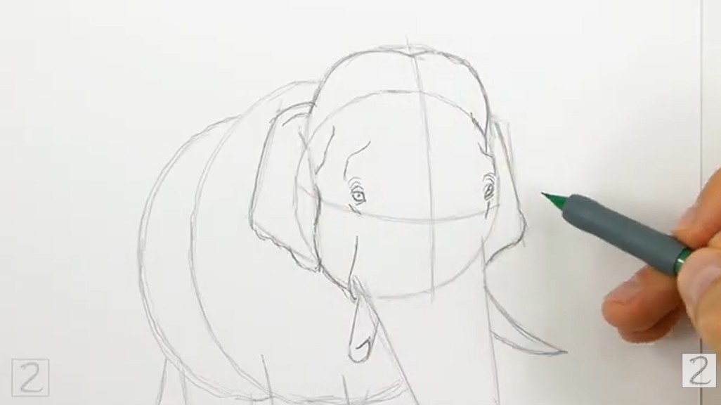 Draw the Facial Features How to Draw an Elephant - Draw the Facial Features