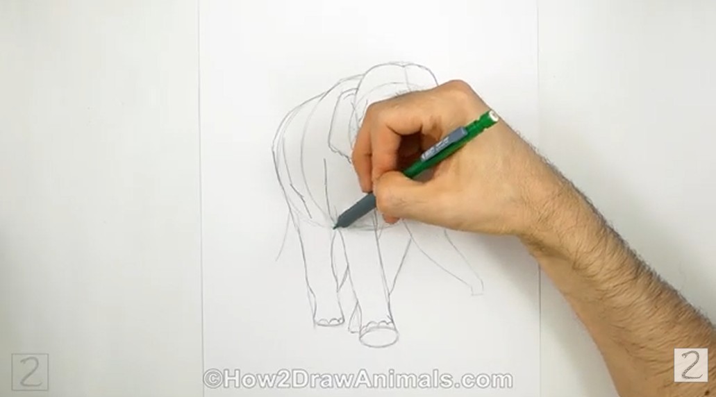 Add the Legs and Body How to Draw an Elephant - Add the Legs and Body