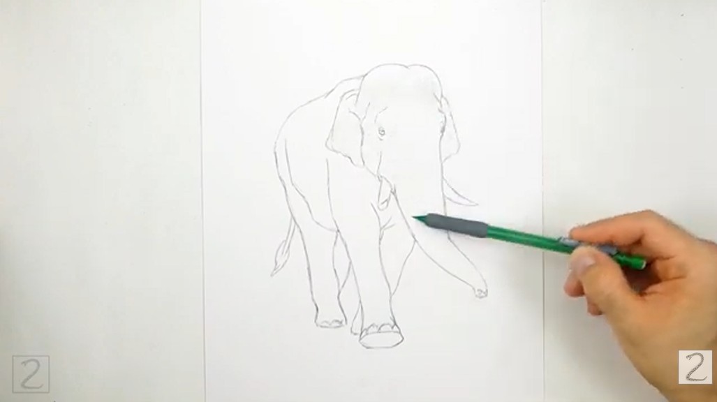 Erase Guidelines How to Draw an Elephant - Erase Guidelines