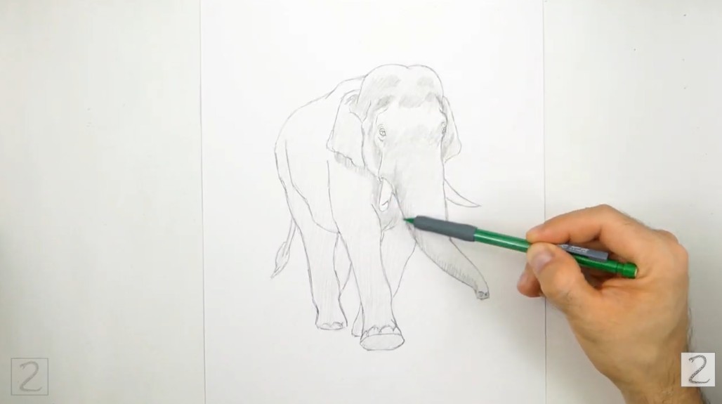 Begin Shading How to Draw an Elephant - Begin Shading