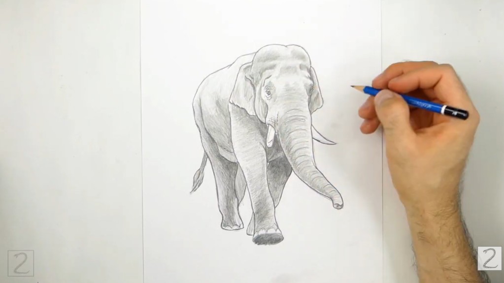 Finish Shading the Elephant How to Draw an Elephant - Finish Shading the Elephant