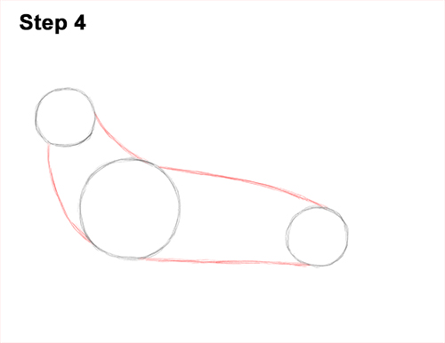 Draw Elephant Seal 4 How to Draw Big Elephant Seal Bull Male Roaring 4