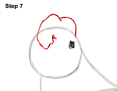 Draw Elephant Seal 7 How to Draw Big Elephant Seal Bull Male Roaring 7