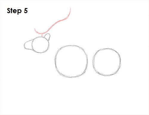 Draw Elk 5