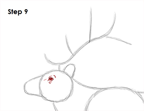 Draw Elk 9