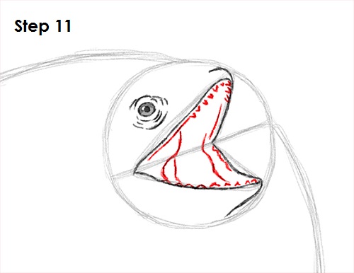 Frilled Neck Lizard Drawing 11 Draw Frilled Neck Lizard 11