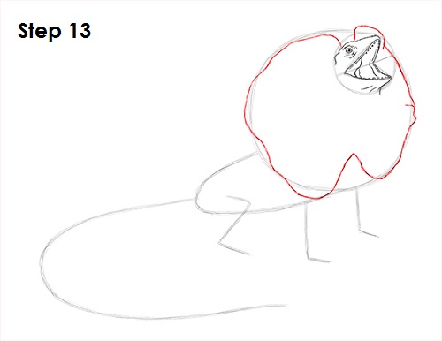 Frilled Neck Lizard Drawing 13 Draw Frilled Neck Lizard 13