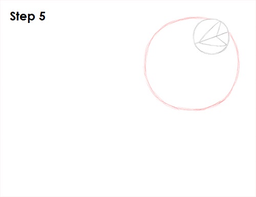 Frilled Neck Lizard Drawing 5 Draw Frilled Neck Lizard 5
