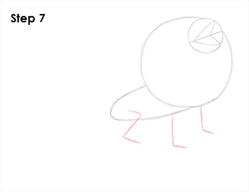Frilled Neck Lizard Drawing 7 Draw Frilled Neck Lizard 7