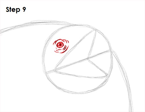 Frilled Neck Lizard Drawing 9 Draw Frilled Neck Lizard 9