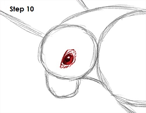 Draw a Falcon 10