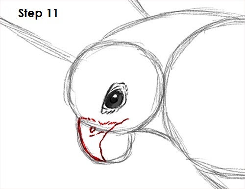 Draw a Falcon 11