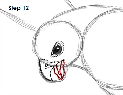 Draw a Falcon 12