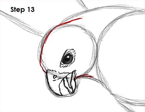 Draw a Falcon 13