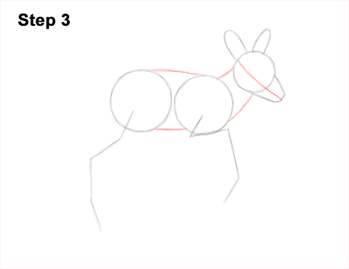 Draw a Fawn Baby Deer Walking 3 How to Draw a Fawn Baby Deer Walking Side View 3