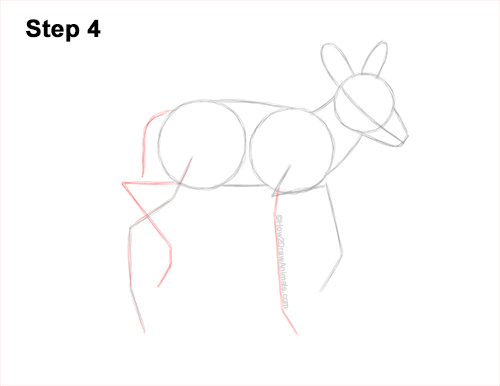 Draw a Fawn Baby Deer Walking 4 How to Draw a Fawn Baby Deer Walking Side View 4