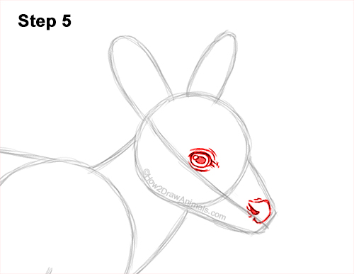 Draw a Fawn Baby Deer Walking 5 How to Draw a Fawn Baby Deer Walking Side View 5