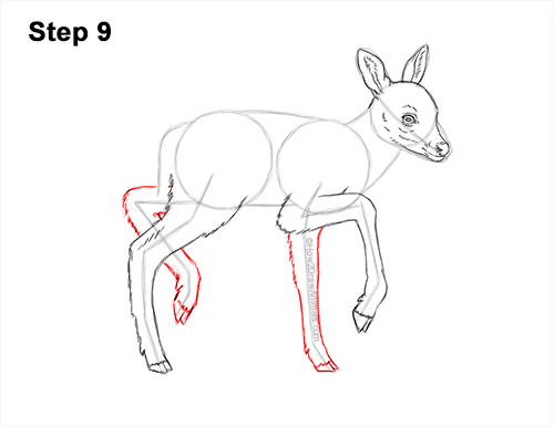 How to Draw a Fawn Baby Deer Walking Side View 9