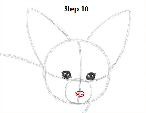 Fennec Fox Drawing 10 Draw Fennec Fox 10