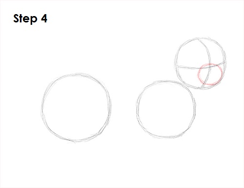 Ferret Drawing Step 4 Draw Ferret 4