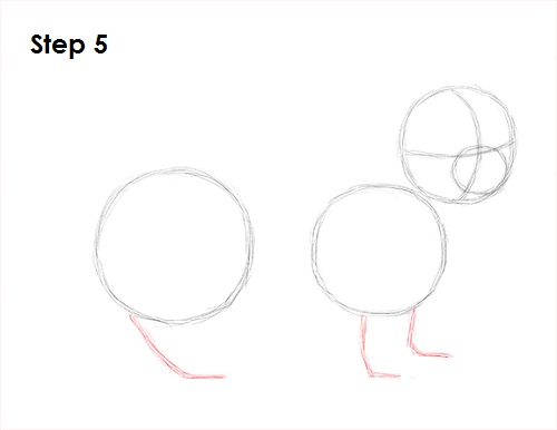 Ferret Drawing Step 5 Draw Ferret 5