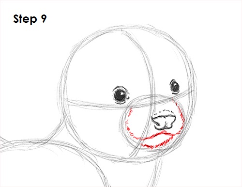 Ferret Drawing Step 9 Draw Ferret 9