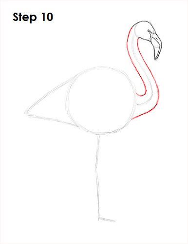 Draw Flamingo Bird 10