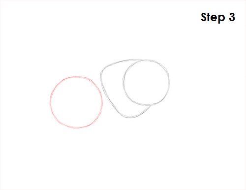 Draw Fly Insect 3