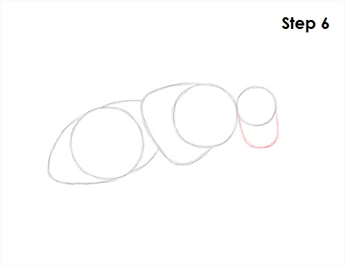 Draw Fly Insect 6