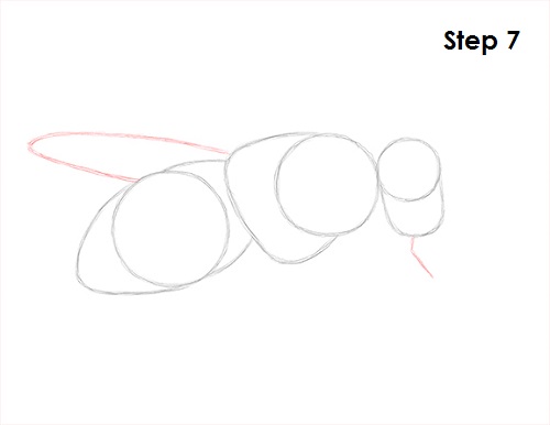 Draw Fly Insect 7