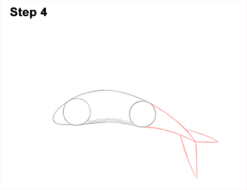 How to Draw a Flying Fish Cod Wings 4