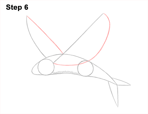 How to Draw a Flying Fish Cod Wings 6