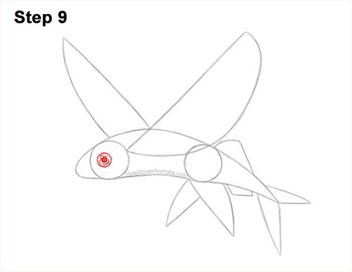 How to Draw a Flying Fish Cod Wings 9