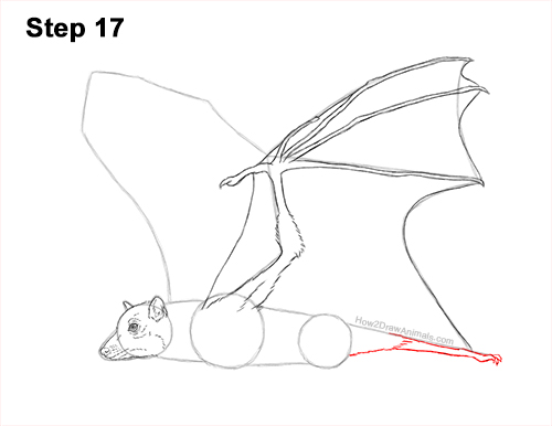 Draw a Flying Fox Fruit Bat 17 How to Draw a Flying Fox Fruit Bat Wings 17
