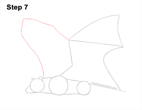 How to Draw a Flying Fox Fruit Bat Wings 7