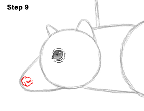 How to Draw a Flying Fox Fruit Bat Wings 9