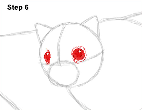 Draw a Flying Squirrel 6 How to Draw a Southern Flying Squirrel Gliding 6