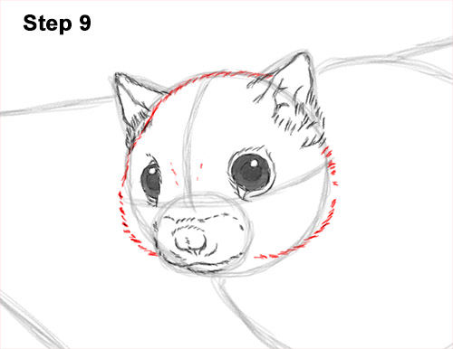 Draw a Flying Squirrel 9 How to Draw a Southern Flying Squirrel Gliding 9