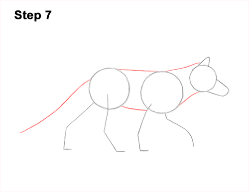 How to Draw a Red Fox Walking Side View 7