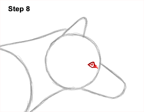How to Draw a Red Fox Walking Side View 8