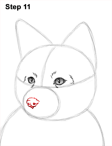 How to Draw a Red Fox Sitting 11